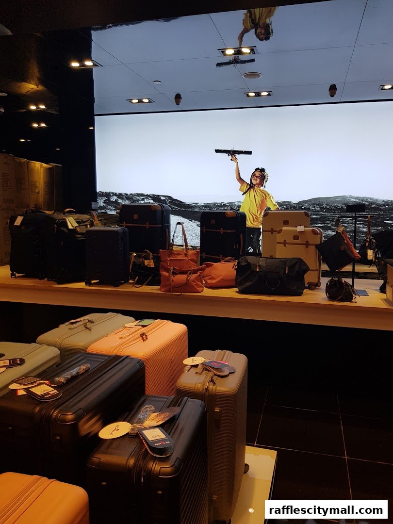 A display of various suitcases and travel bags in a retail store.