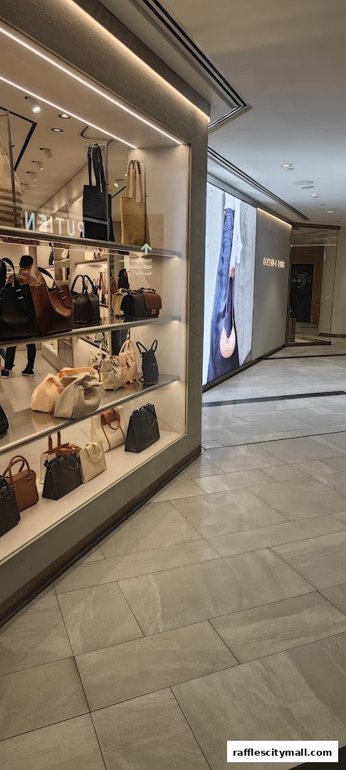 A well-lit display window showcasing a variety of Charles & Keith handbags and totes.