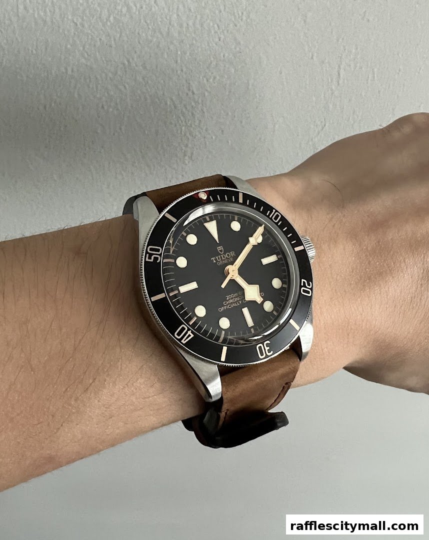 A close-up shot of a Tudor Black Bay watch on a person's wrist.