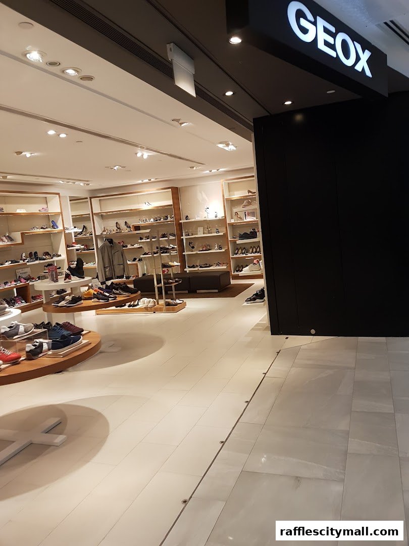 Interior view of a Geox shoe store with shelves displaying various footwear.