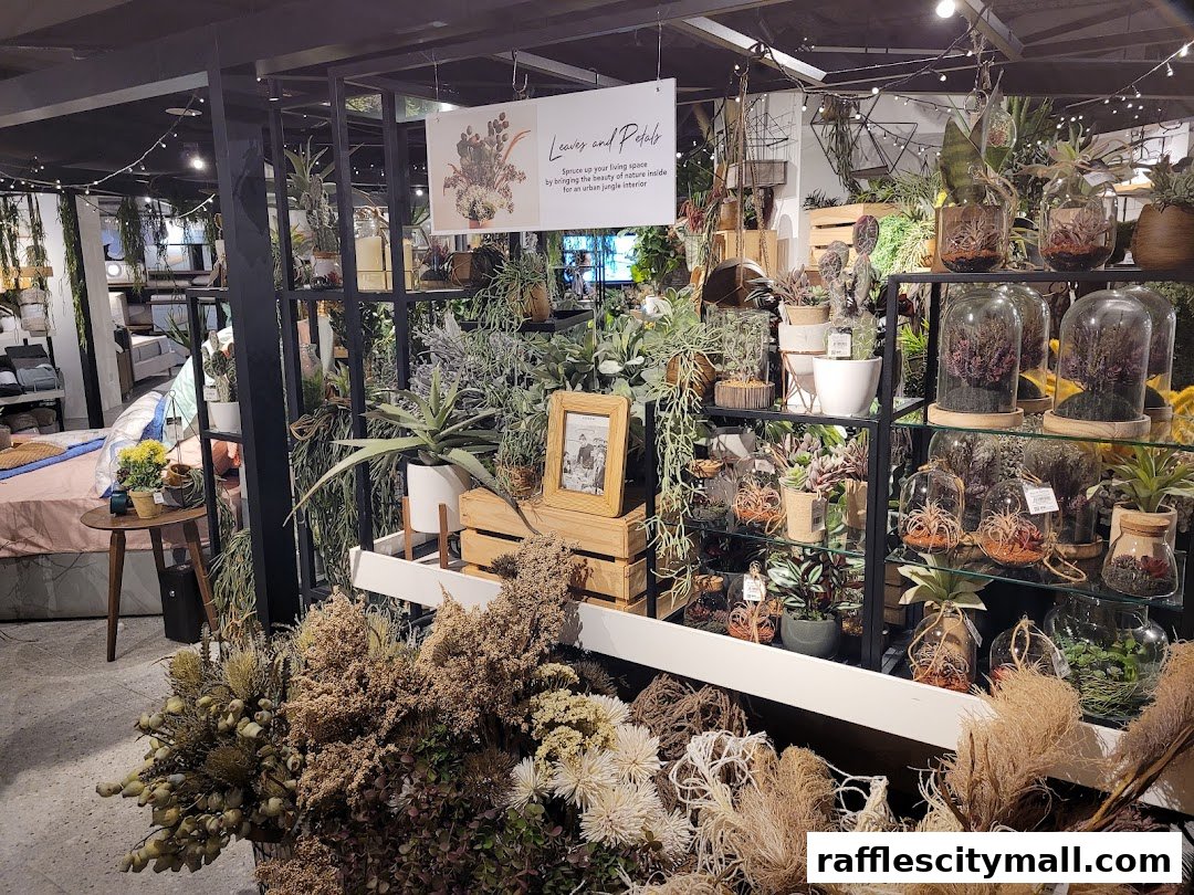 A shop interior filled with various plants, terrariums, and home decor items.