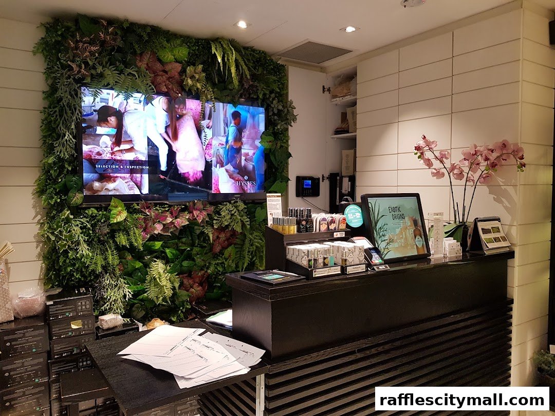 A retail counter with products, a digital display, and a lush green wall with a TV screen.