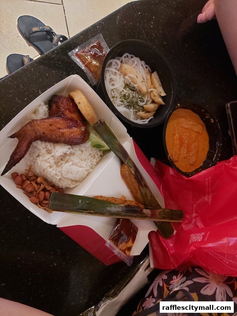 A close-up of a meal with rice, chicken wing, noodles, and curry.
