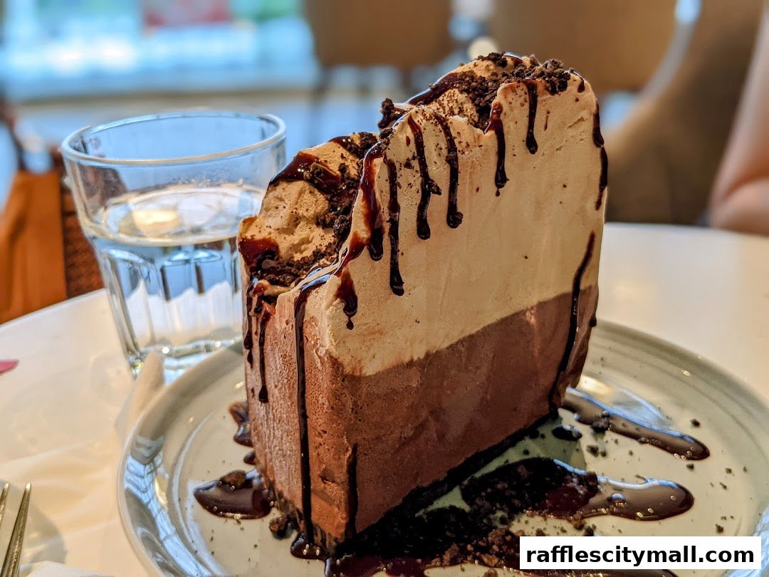 A decadent slice of layered chocolate cake with chocolate drizzle and cookie crumbs.