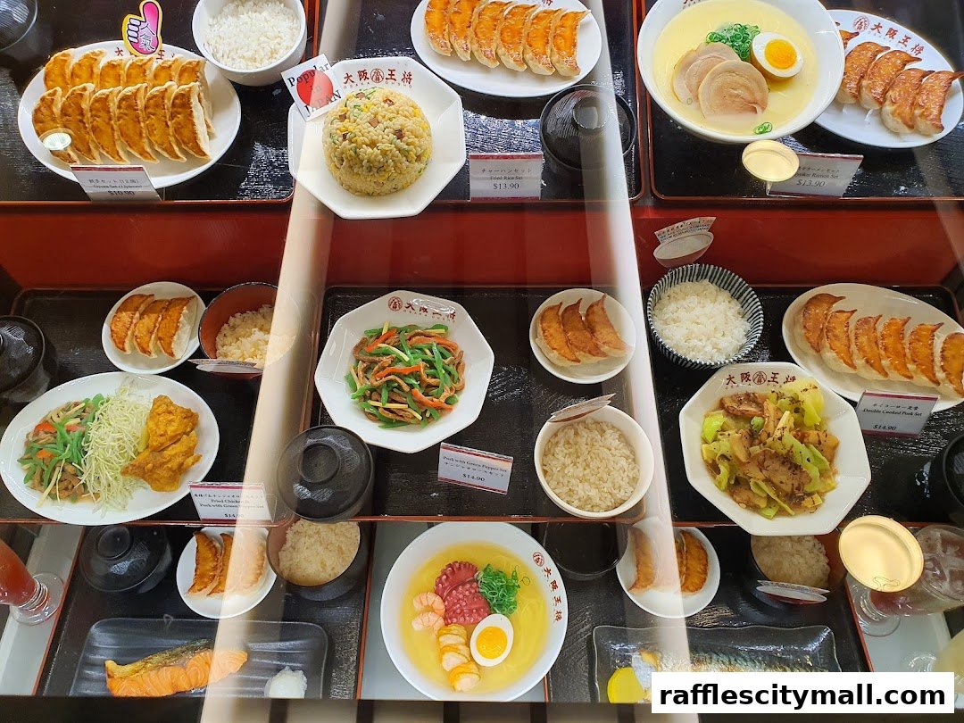 A display of various Japanese food items, including gyoza, fried rice, and ramen.