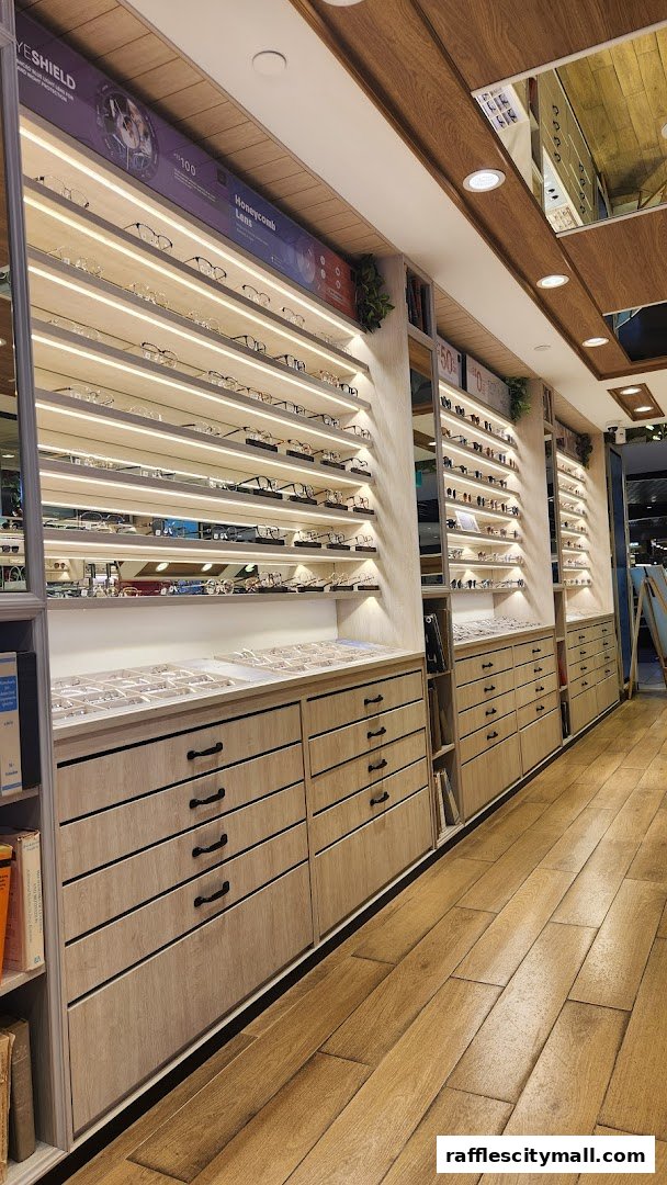 Interior view of an optical shop showcasing a wide selection of eyeglasses on display shelves.