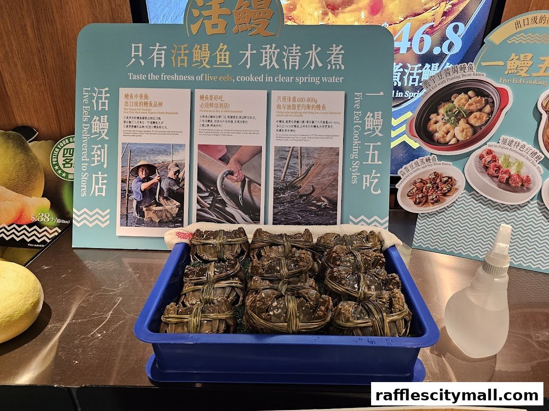 A display of live eels and crabs, with promotional materials about eel dishes.