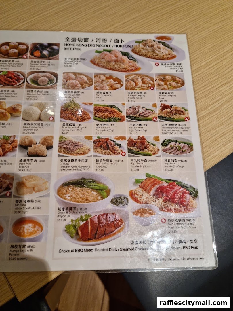 A menu from Treasures Yi Dian Xin featuring various noodle dishes and dim sum items.