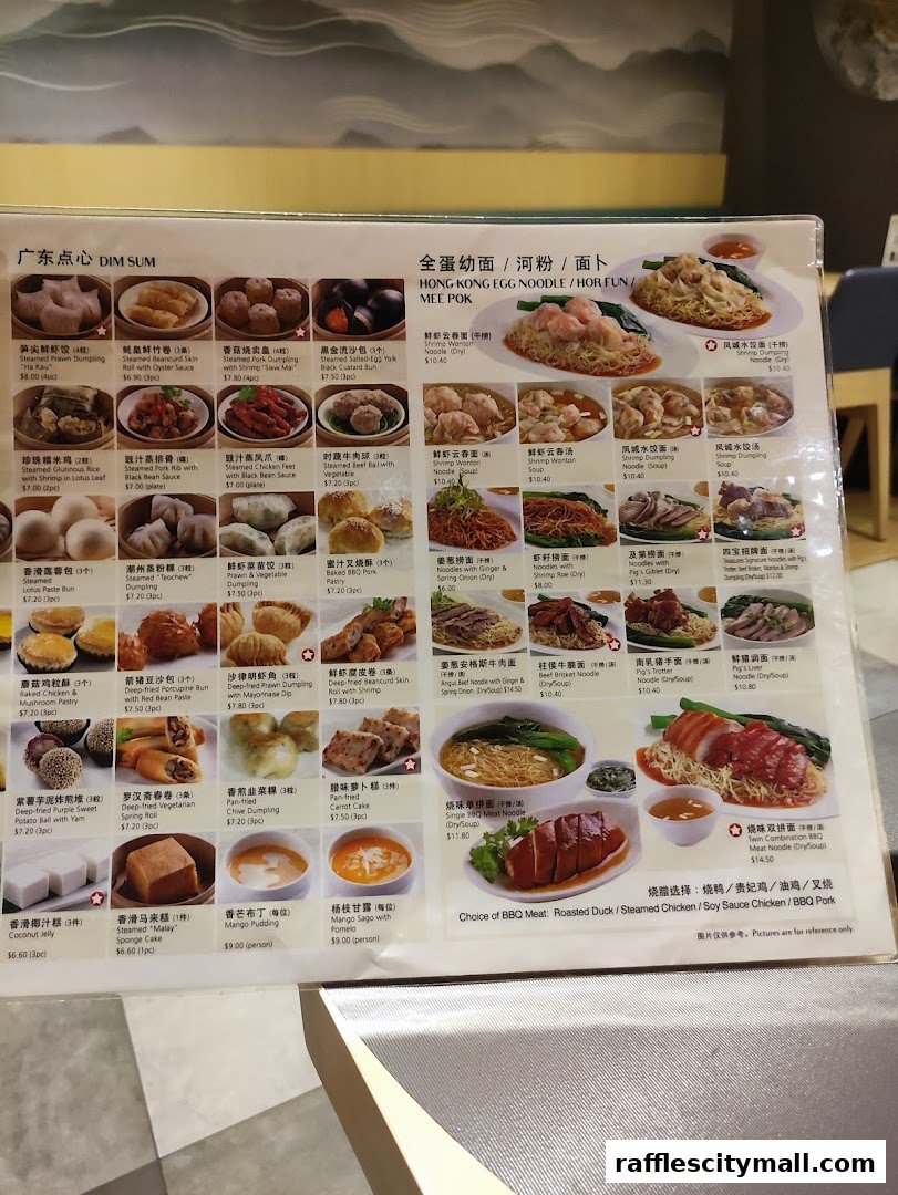 A menu from Treasures Yi Dian Xin featuring various dim sum and noodle dishes with pictures.