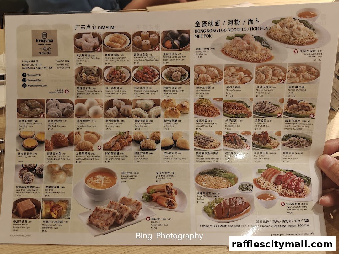 A menu from Treasures Yi Dian Xin featuring dim sum and noodle dishes with prices.